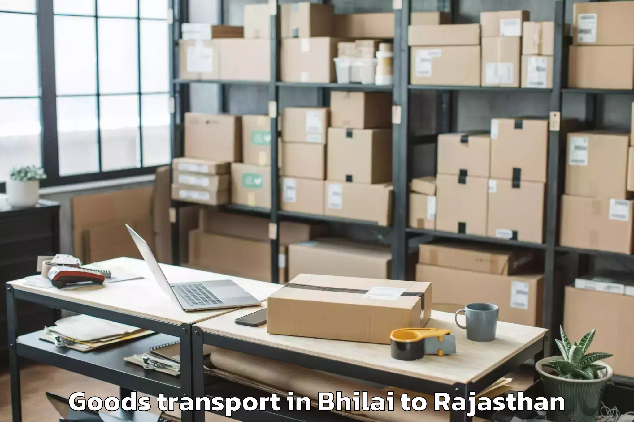 Comprehensive Bhilai to Bari Sadri Goods Transport